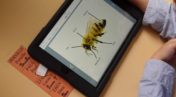 Créer un livre numérique sur tablette en maternelle